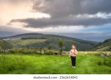 Young girl holding handful of grass and going to feed sheep. Family hike in Lough Dan, Wicklow Mountains, Ireland