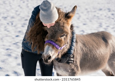 Young girl holding and hugging her adorable donkey. In sunlight against a white and snowy background - Powered by Shutterstock