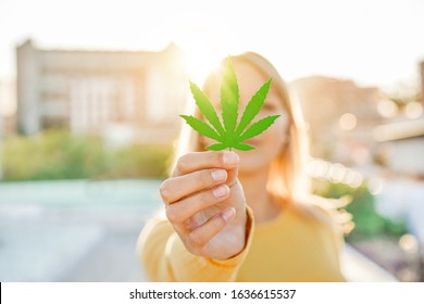 Young girl holding marijuana leaf with sunlight in back ground - Cannabis medicine, healthy lifestyle and ecology concept - Focus on hand