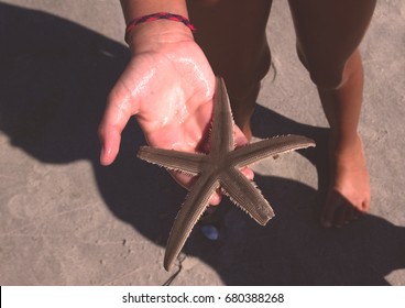 Young Girl Holds A Starfish That Is Missing Part Of An Arm