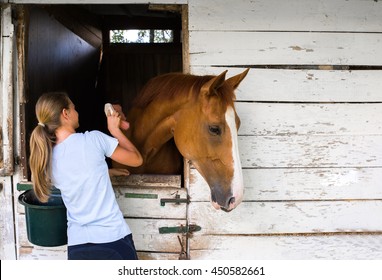 Young Girl With A Horse 