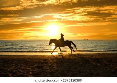 young  girl with horse on seacoast - Powered by Shutterstock