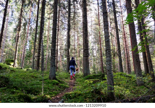 Young girl looking for mushrooms in a forest.\
Mushroom hunting, mushrooming, mushroom picking and mushroom\
foraging describe the activity of gathering mushrooms in the wild.\
Forest therapy is\
healing.