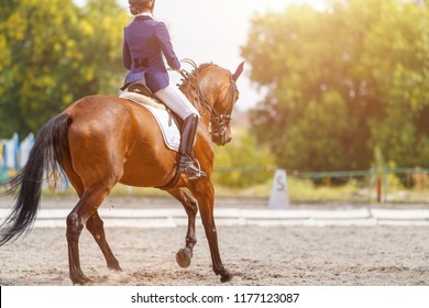 Young girl on bay horse performing her dressage test