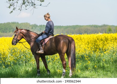  Young Girl On Horseback Riding