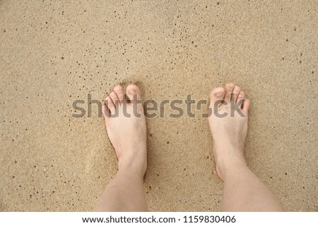 Image, Stock Photo sandpiper Flip-flops