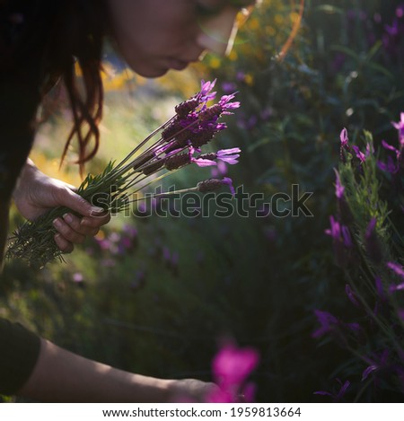 Similar – Image, Stock Photo Seen from the frog’s perspective: Lavender, poppy and curious woman
