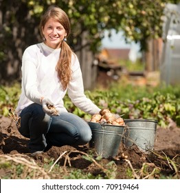 young girl is picking  potato in field - Powered by Shutterstock