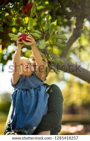 Similar – Image, Stock Photo Little girl picking apples with senior woman