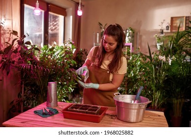 Young Girl Is Planting Plants Under A Photo Lamp Light. Girl Gardener Plants Black In The Home Garden. Home Garden Concept. Caring For Plants In A Large Home Garden