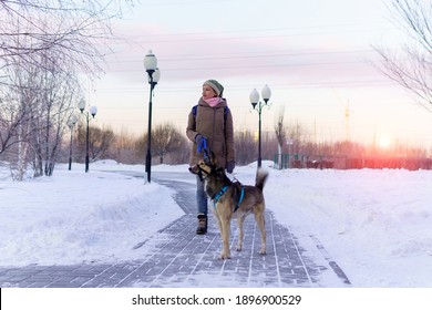 Young Girl Playing With Dog Outside In Winter In Slow Motion. Selective Focus