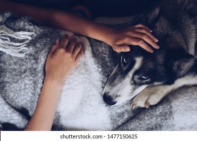 Young Girl Relaxing On A Couch With Her Dog