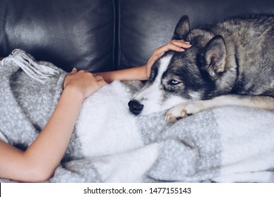 Young Girl Relaxing On A Couch With Her Dog