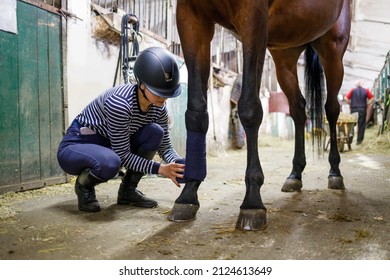 Young girl rider bandaging horse legs before training or competition - Shutterstock ID 2124613649