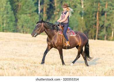 Young Girl Riding Black Horse Stock Photo 320355314 | Shutterstock