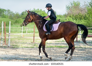 Young Girl Riding A Horse