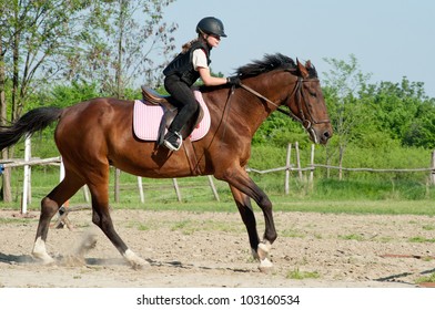 Young Girl Riding A Horse