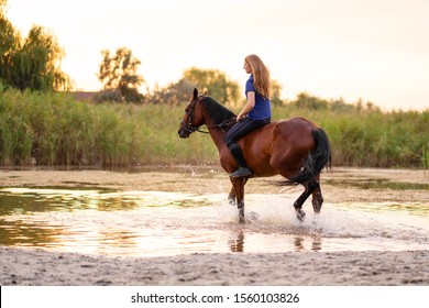 Horse Girls Photos