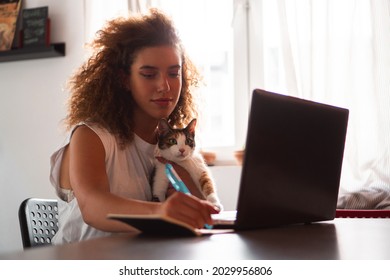 Ein junges Mädchen sitzt mit ihrer Katze im Heimbüro und benutzt einen Laptop für E-Klassen.