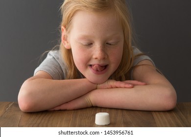 A young girl sits at a table across from a single marshmallow, attempting the marshmallow test - Shutterstock ID 1453956761