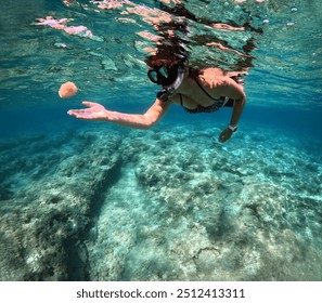 Young girl snorkeling with marine life underwater, in the clear warm ocean with rocky seabed. Travel picture with the woman snorkeler in the sea. Turquoise water and swimming tourist. 