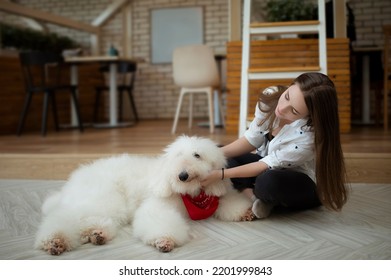 A Young Girl With Standard Poodle Lying On The Floor