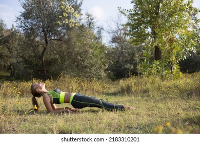 Young Girl Stands In Reverse Plank Pose In The Park. Staying Power. Endurance Training