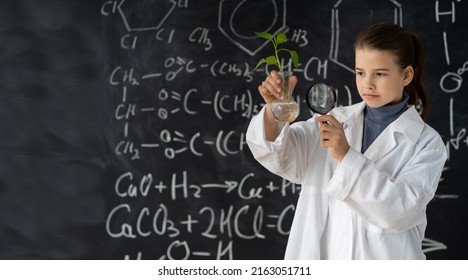 Young Girl Studies Small Plant In Elementary Science Class. Student Holding Magnifying Glass. Earth Day Holiday Concept. World Environment Day. Educational Concept.