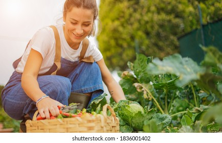 Young girl taking care of her vegetable garden - Concept of new organic business 