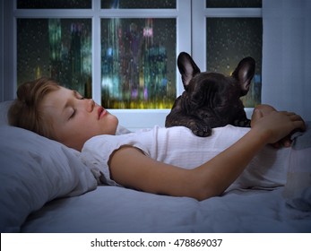 The Young Girl The Teenager And A Dog Sleeping In The Bed. Sound Sleep, Night, Rain Outside The Window