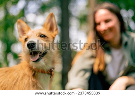 a young girl walking in the park with her dog, playing with a stick and teasing him with close-up of the animal
