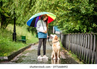 Young girl walking under rain with golden retriever dog