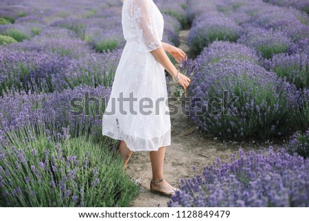 Similar – #A# Lavender walk Art