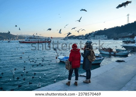 Young girlfriends feed ducks and flying seagulls on the shore of a sea bay. Istanbul cityscape, beautiful buildings, pleasure boats and ferries. Sunset.