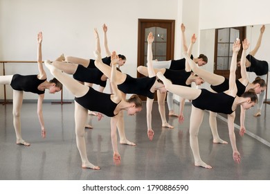 Large Group Ballet Dancers Having Fun Stock Photo 1579657060 | Shutterstock