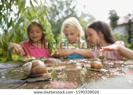 Similar – Image, Stock Photo snail shell