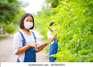 Young girls wear face mask and using a tablet in the front garden. She has ideas for nature conservation and research on tree and plant species. Concept of environmental conservationist
