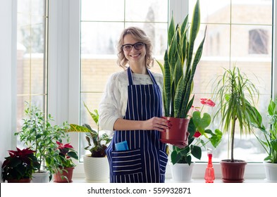 Young In Glasses Woman Cultivating Home Plants