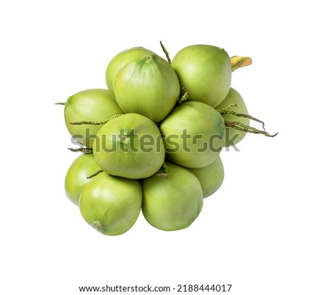 Young green coconut cluster levitate in the air isolated on white background.