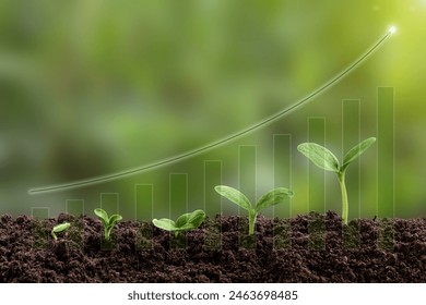 Young green seedling are growing from the rich soil in sunlight. Business growth, success, development and profit. Ecology and business concept. Plant growth evolution from seed to sapling. - Powered by Shutterstock