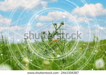 Similar – Image, Stock Photo Photograph flowers Woman