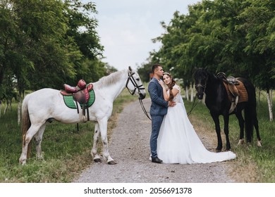 A young groom in a suit and a beautiful bride in a white long dress are hugging, standing on a country road, in a village in nature with white and black horses. Wedding photography.