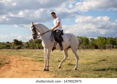 Young Guy In Casual Outfit Riding White Horse On Meadow A Sunny Day 