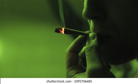 A Young Guy Smoking A Rolled Jointer With Weed Buds Inside In The Green Light Close-up.