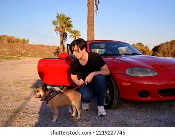 A Young Guy Walks With A French Bulldog. Nearby Is A Red Convertible With A Closed Black Cloth Roof. Two Palm Trees And A Beige Dog With A Brown Collar Are Visible On The Road.