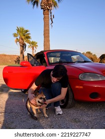 A Young Guy Walks With A French Bulldog. Nearby Is A Red Convertible With A Closed Black Cloth Roof. Two Palm Trees And A Beige Dog With A Brown Collar Are Visible On The Road.