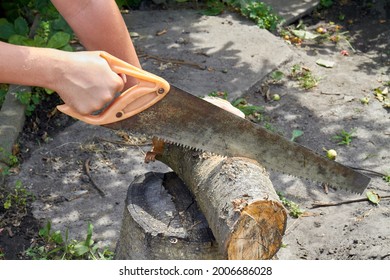 Young hands cutting log using old rusty cross saw.