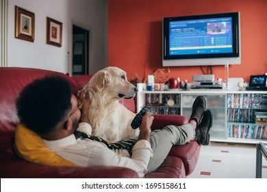 Young handsome black man sitting couch indoor at home with dog watching tv - comfortable, entertainment, relaxation concept