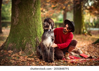 A Young Handsome, Brutal Man In A Red Sweater And Hat,sitting Under A Tree, In The Park During The Day, In Autumn, With A Large Pedigreed Dog Afghan Hound