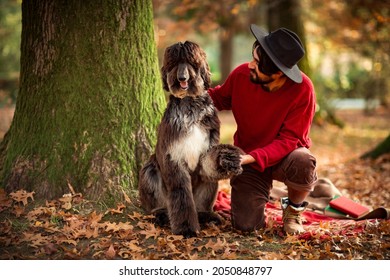 A Young Handsome, Brutal Man In A Red Sweater And Hat,sitting Under A Tree, In The Park During The Day, In Autumn, With A Large Pedigreed Dog Afghan Hound